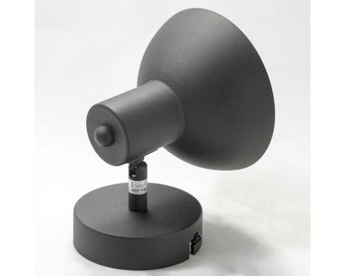 Спот Lussole SY3799