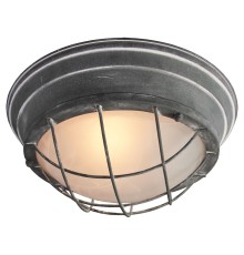 Потолочный светильник Lussole  Brentwood GRLSP-9881