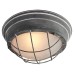 Светильник лофт Loft LSP-9881 серый