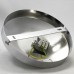 Люстра потолочная Lussole SY513042
