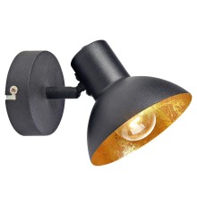 Спот Lussole SY3799