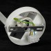 Бра Lussole SY2788