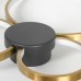 Потолочный светильник Lussole SY2117