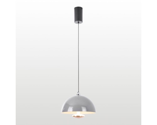 Подвесной светильник Lussole LSP-7388