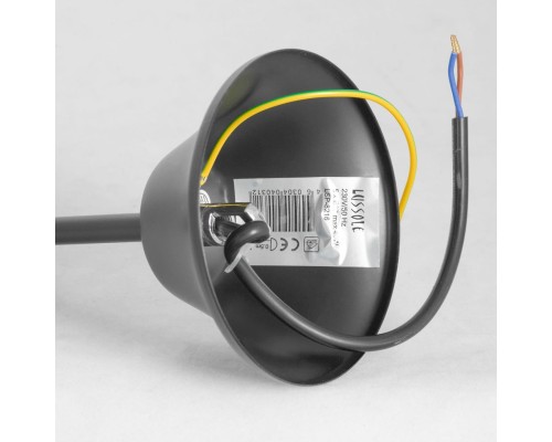 Люстра подвесная Lussole SY6128