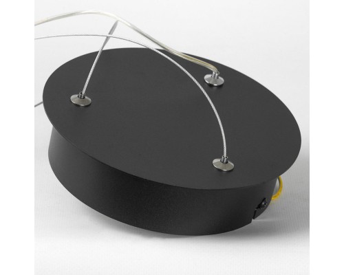 Люстра подвесная Lussole HALE LSP-7381