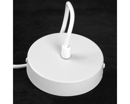 Подвесной светильник Lussole LSP-8973