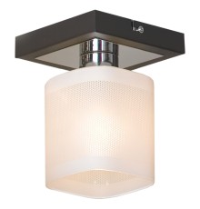 Потолочный светильник Lussole  Costanzo LSL-9007-01