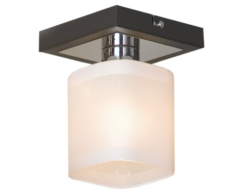 Потолочный светильник Lussole LSL-9007-01 Costanzo, 1 плафон, хром с венге, белый