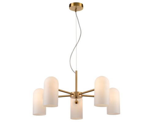 336-503-05 VELANTE Классический стиль светильник подвесной, G9, 5x40W