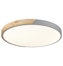 Потолочный светильник с пультом ДУ Velante 445-267-01