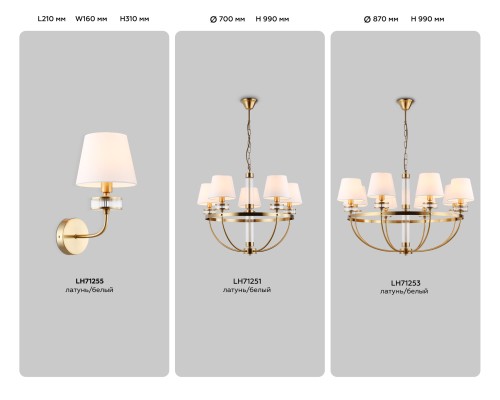 Настенный светильник E14*1 210*160*310 LH71255 AMBRELLA LIGHT AMBRELLA LIGHT