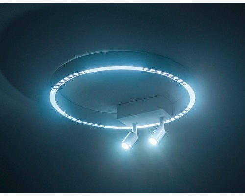 Потолочный светодиодный светильник 3000K-6000K 25Вт D400*95 FL5805 AMBRELLA LIGHT AMBRELLA LIGHT