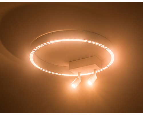 Потолочный светодиодный светильник 3000K-6000K 25Вт D400*95 FL5805 AMBRELLA LIGHT AMBRELLA LIGHT
