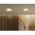Встраиваемый точечный светильник MR11 1*GU5.3 D55*33 TS51815 AMBRELLA LIGHT AMBRELLA LIGHT