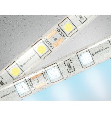 Светодиодная лента 12В 5050 60Led 14.4Вт/м 6500K IP65 5000*10*2.87 GS2103 AMBRELLA LIGHT