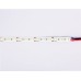 Светодиодная лента 12В 2835 180Led 14.4Вт/м 4500K IP20 5000*10*1.2 GS1312 AMBRELLA LIGHT AMBRELLA LIGHT