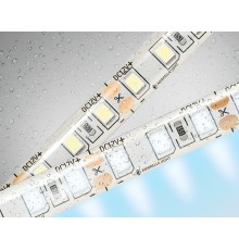 Светодиодная лента 12В 2835 120Led 9.6Вт/м 6500K IP65 5000*8*2.27 GS1203 AMBRELLA LIGHT