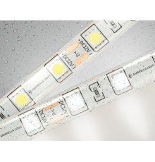 Светодиодная лента 12В 5050 60Led 14.4Вт/м 4500K IP65 5000*10*2.87 GS2102 AMBRELLA LIGHT