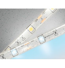 Светодиодная лента 12В 5050 30Led 7.2Вт/м 6500K IP65 5000*10*2.87 GS1903 AMBRELLA LIGHT