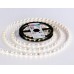 Светодиодная лента 12В 5050 60Led 14.4Вт/м Цветная RGB IP20 5000*10*1.87 GS2202 AMBRELLA LIGHT AMBRELLA LIGHT