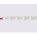 Светодиодная лента двухрядная 24В 2835 204Led 20Вт/м 6500K IP20 5000*14*1.2 GS3603 AMBRELLA LIGHT AMBRELLA LIGHT