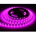 Светодиодная лента 24В 5050 60Led 10Вт/м Цветная RGB+W 4500K IP20 5000*10*1.87 GS4402 AMBRELLA LIGHT AMBRELLA LIGHT