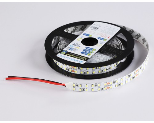 Светодиодная лента двухрядная 24В 2835 240Led 24Вт/м 6500K IP20 5000*14*1.2 GS3703 AMBRELLA LIGHT AMBRELLA LIGHT