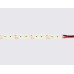 Светодиодная лента 24В 2835 180Led 14.4Вт/м 6500K IP20 5000*10*1.2 GS3213 AMBRELLA LIGHT AMBRELLA LIGHT