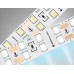 Светодиодная лента двухрядная 24В 2835 204Led 20Вт/м 6500K IP20 5000*14*1.2 GS3603 AMBRELLA LIGHT AMBRELLA LIGHT