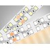 Светодиодная лента двухрядная 24В 2835 240Led 24Вт/м 3000K IP20 5000*14*1.2 GS3701 AMBRELLA LIGHT AMBRELLA LIGHT