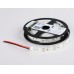 Светодиодная лента двухрядная 24В 2835 204Led 20Вт/м 6500K IP20 5000*14*1.2 GS3603 AMBRELLA LIGHT AMBRELLA LIGHT