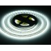 Светодиодная лента 24В 2835 240Led 22Вт/м 6500K IP20 5000*10*1.2 GS3503 AMBRELLA LIGHT AMBRELLA LIGHT
