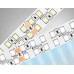 Светодиодная лента двухрядная 24В 2835 240Led 24Вт/м 6500K IP20 5000*14*1.2 GS3703 AMBRELLA LIGHT AMBRELLA LIGHT