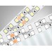 Светодиодная лента двухрядная 24В 2835 240Led 24Вт/м 4500K IP20 5000*14*1.2 GS3702 AMBRELLA LIGHT AMBRELLA LIGHT