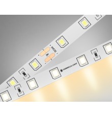 Светодиодная лента 24В 2835 60Led 6Вт/м 3000K IP20 5000*8*1.2 GS3001 AMBRELLA LIGHT