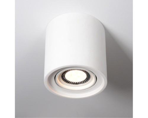 Точечный накладной светильник Arte Lamp TUBO A9262PL-1WH