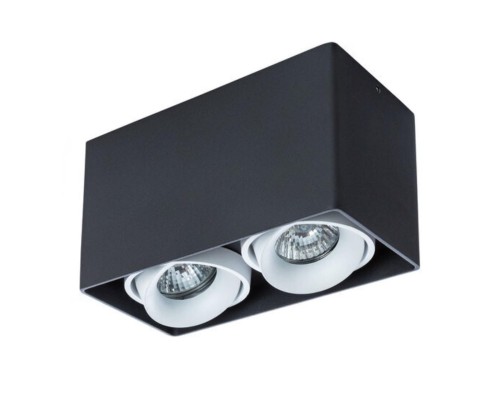 Точечный накладной светильник Arte Lamp PICTOR A5654PL-2BK