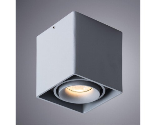 Точечный накладной светильник Arte Lamp PICTOR A5654PL-1GY