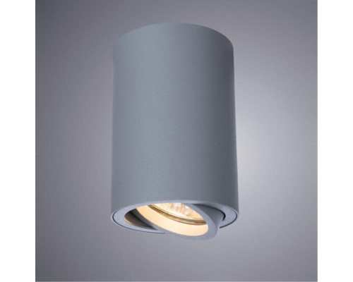 Точечный накладной светильник Arte Lamp SENTRY A1560PL-1GY