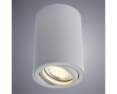 Точечный накладной светильник Arte Lamp SENTRY A1560PL-1GY