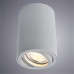 Точечный накладной светильник Arte Lamp SENTRY A1560PL-1GY