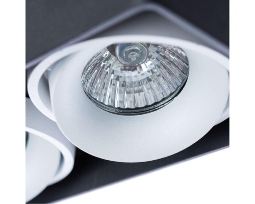 Точечный накладной светильник Arte Lamp PICTOR A5654PL-2BK