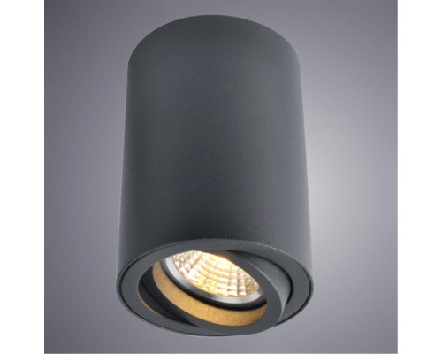 Точечный накладной светильник Arte Lamp SENTRY A1560PL-1BK