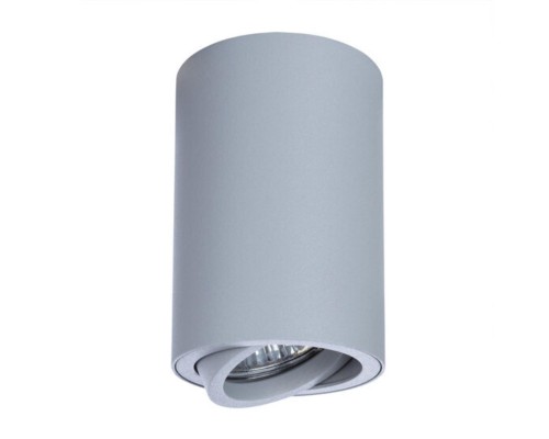 Точечный накладной светильник Arte Lamp SENTRY A1560PL-1GY