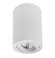 Точечный накладной светильник Arte Lamp SENTRY A1566PL-1WH