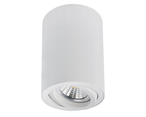 Точечный накладной светильник Arte Lamp SENTRY A1566PL-1WH