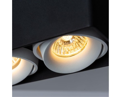 Точечный накладной светильник Arte Lamp PICTOR A5654PL-2BK