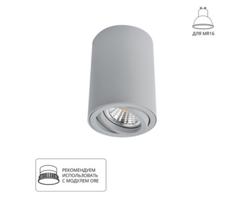 Точечный накладной светильник Arte Lamp SENTRY A1560PL-1GY