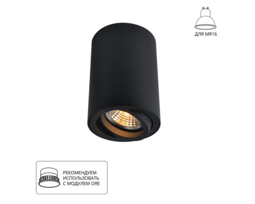 Точечный накладной светильник Arte Lamp SENTRY A1560PL-1BK